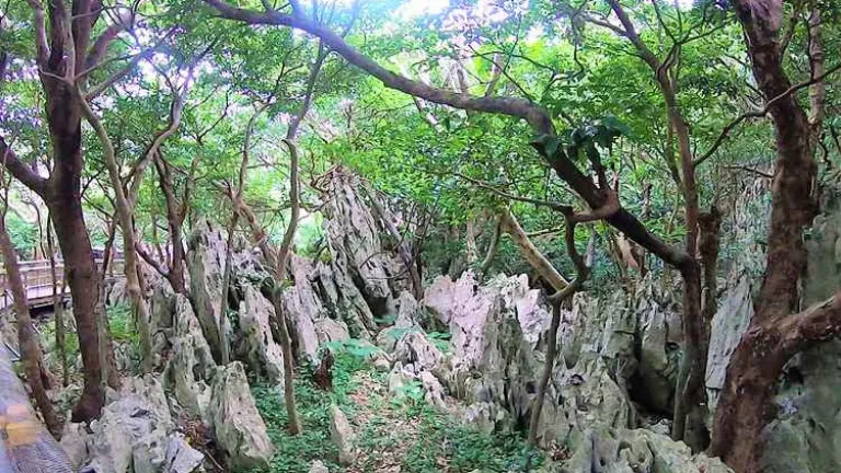 大石林山の奇岩