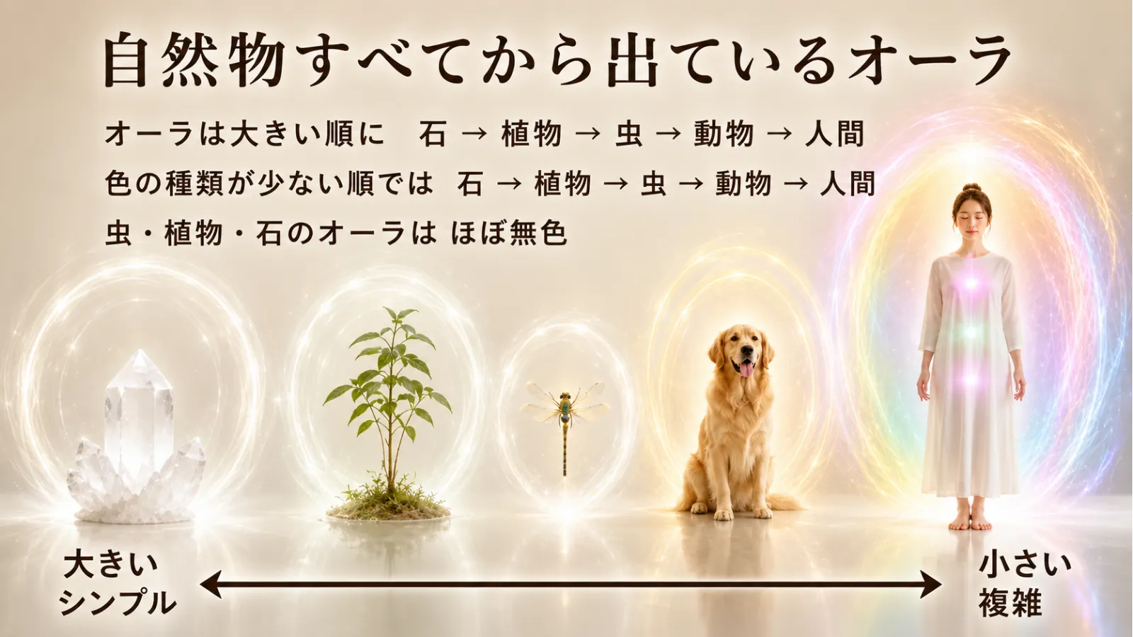 オーラの大きさと色の種類